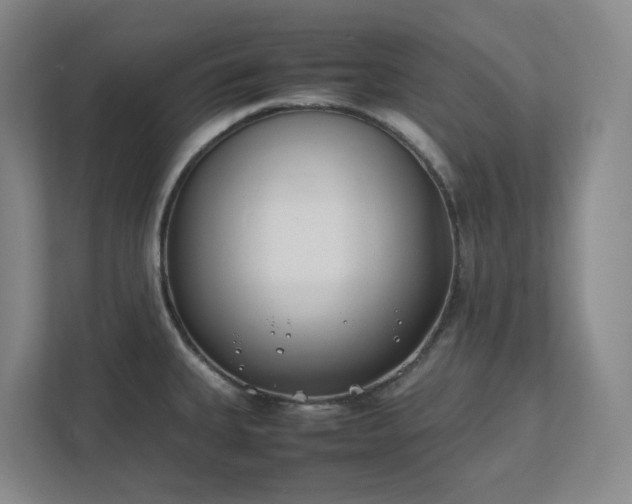 X0000111491335200907211001