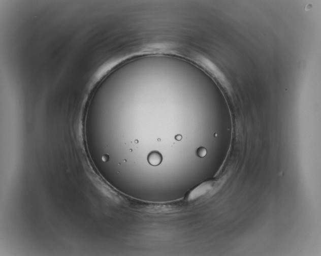 X0000111491336200907211001