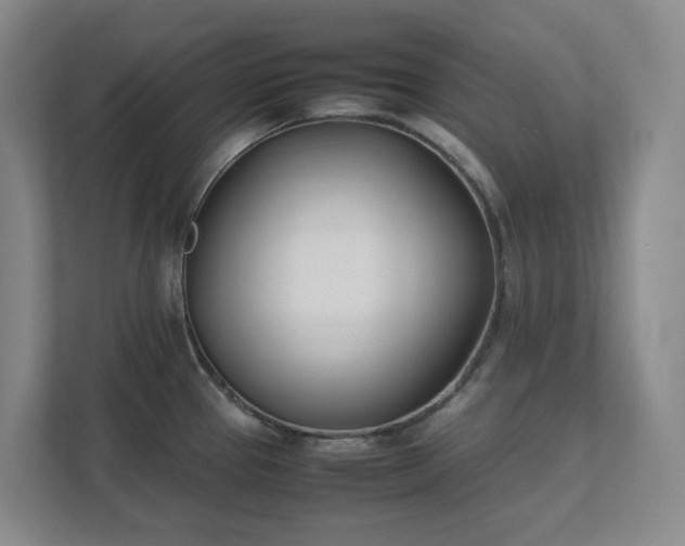 X0000111491337200907211001