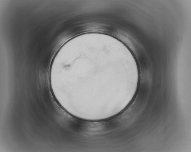 X0000111491338200907211001