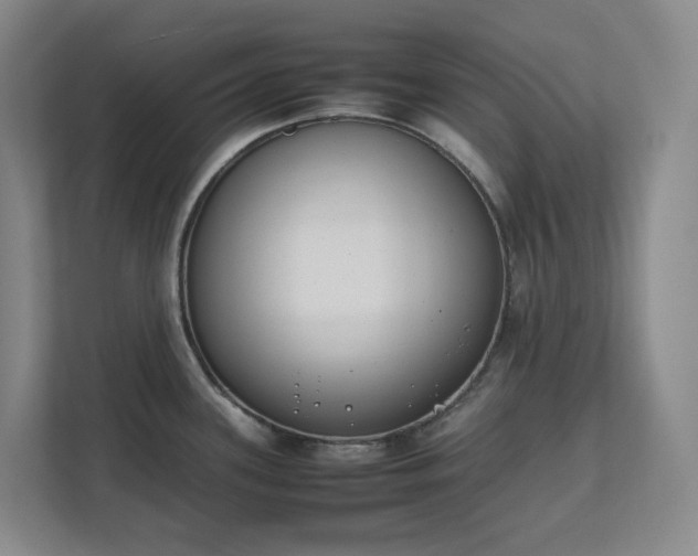 X0000111491339200907211001