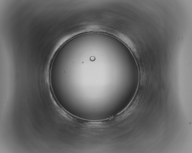 X0000111491342200907211001