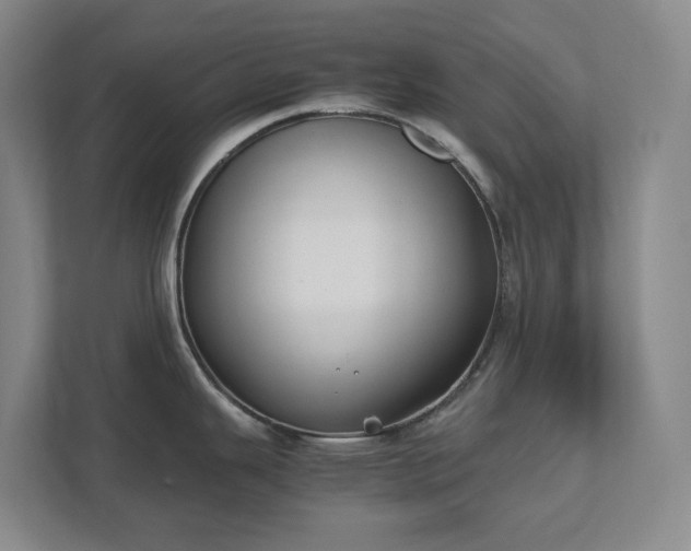 X0000111491343200907211001