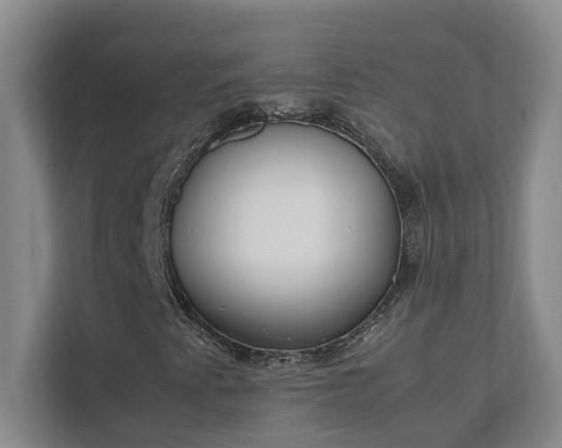 X0000111491345200907211000