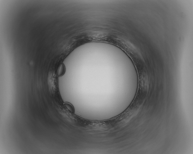 X0000111491346200907211000