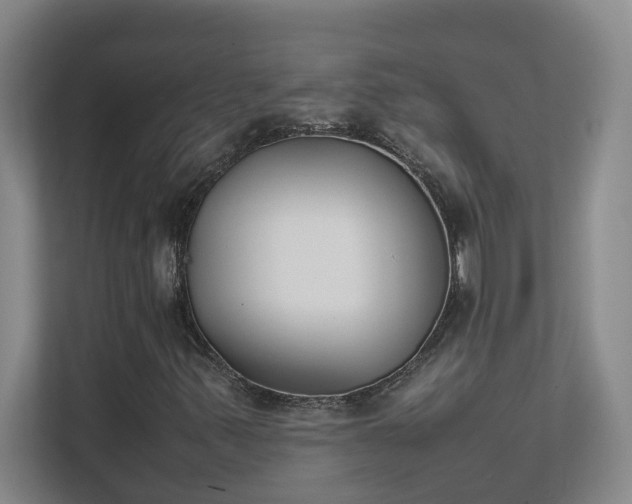 X0000111491347200907211000