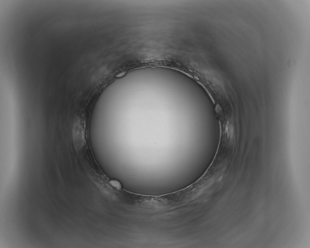 X0000111491348200907211000