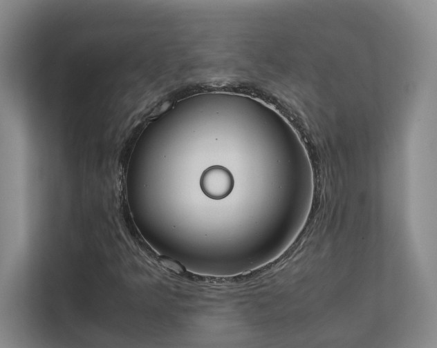 X0000111491349200907211000