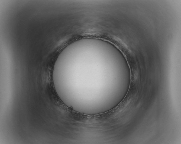 X0000111491350200907211000