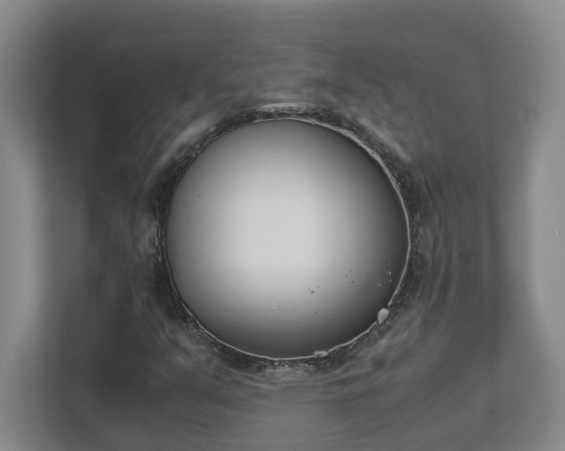 X0000111491351200907211000