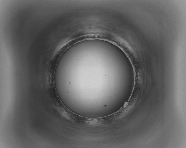 X0000111491352200907211000