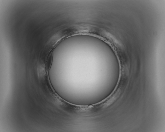 X0000111491353200907211000