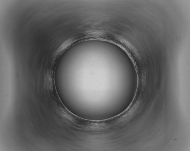 X0000111491354200907211000