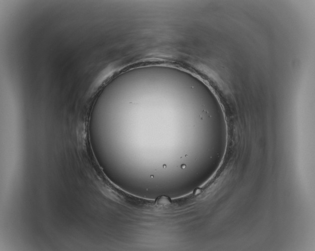 X0000111491355200907211000