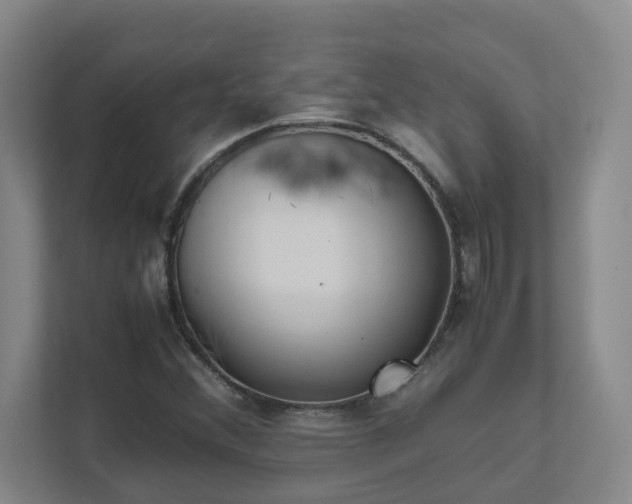 X0000111491356200907211000