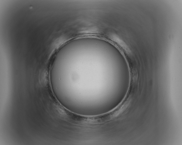 X0000111491357200907211000