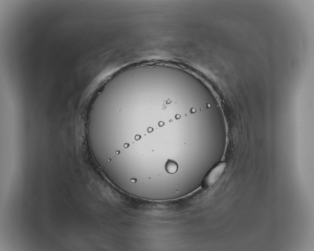 X0000111491359200907211000