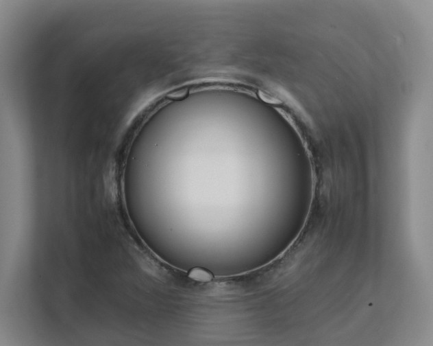 X0000111491360200907211000