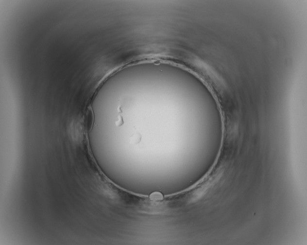 X0000111491361200907211000