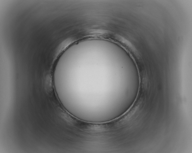 X0000111491362200907211000