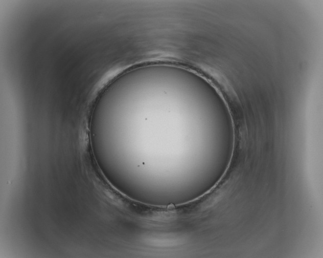 X0000111491363200907211000