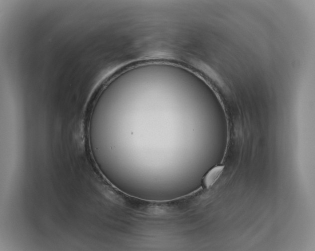 X0000111491364200907211000