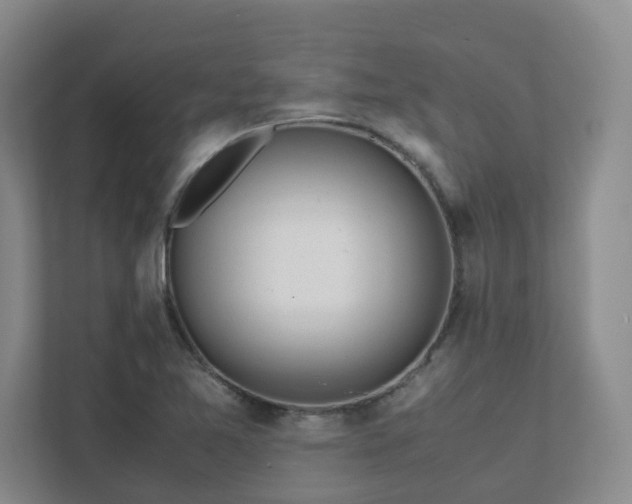 X0000111491365200907211000