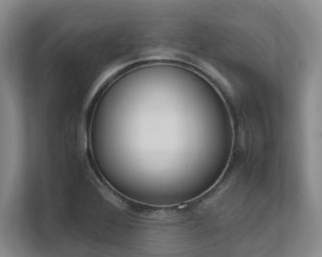 X0000111491368200907211000