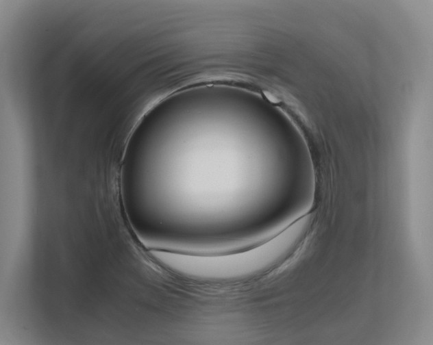 X0000111491369200907211000