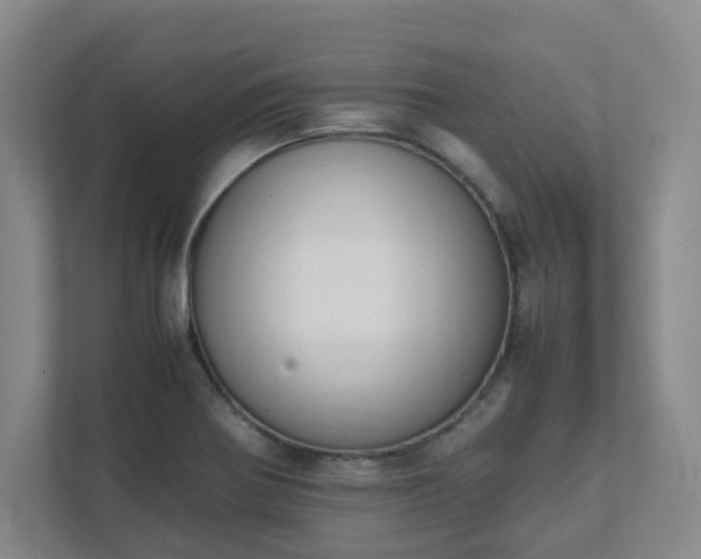 X0000111491370200907211000