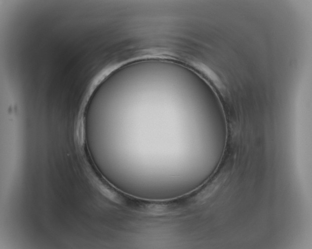 X0000111491371200907211000