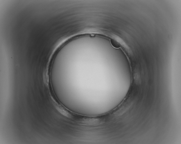 X0000111491372200907211000