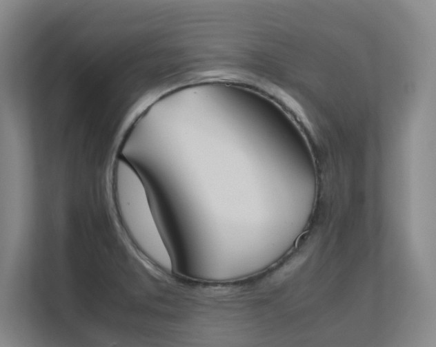 X0000111491373200907211000