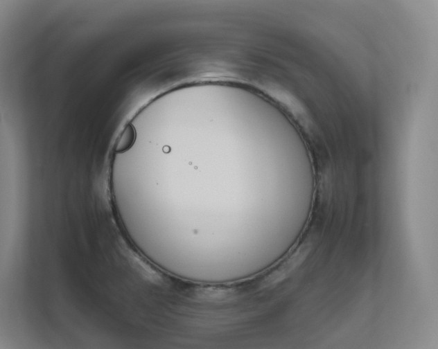 X0000111491374200907211000