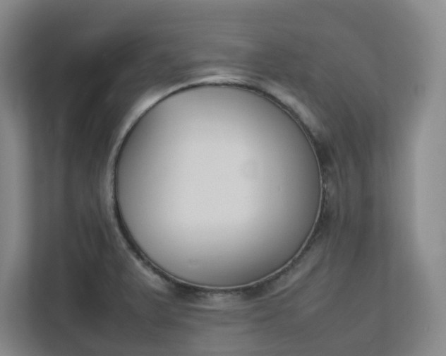 X0000111491375200907211000