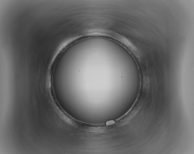 X0000111491376200907211000