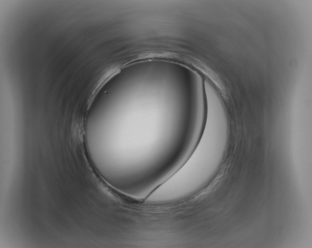 X0000111491377200907211000