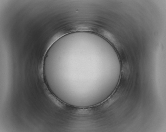 X0000111491378200907211000