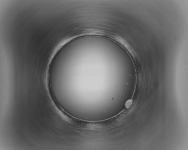 X0000111491379200907211000