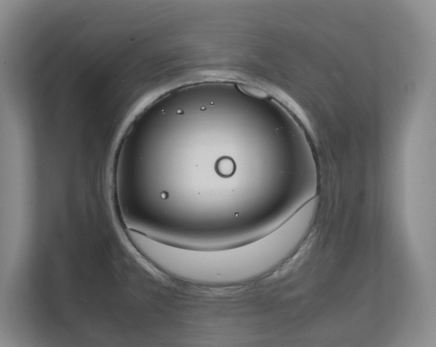 X0000111491381200907211000