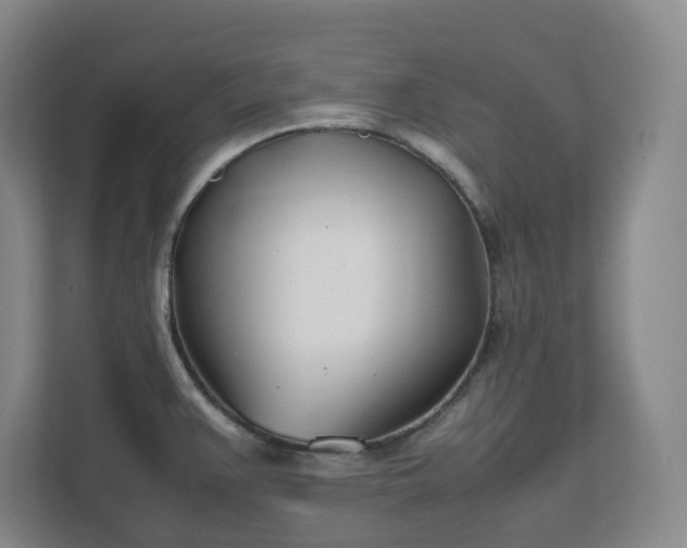 X0000111491383200907211000