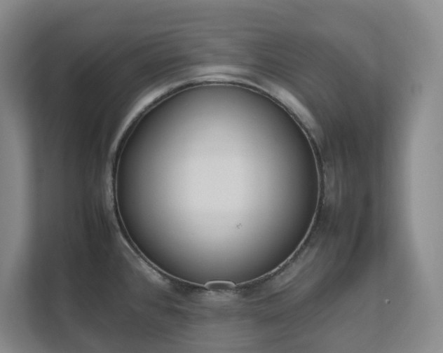 X0000111491384200907211000