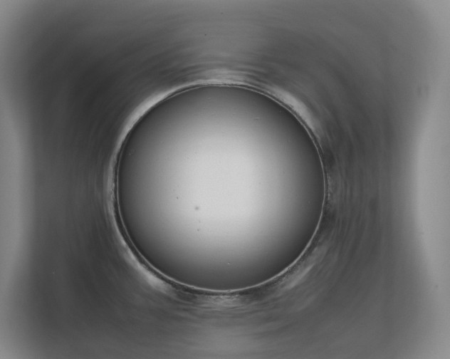 X0000111491387200907211000