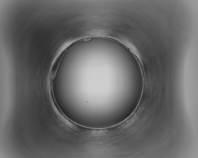 X0000111491389200907211000