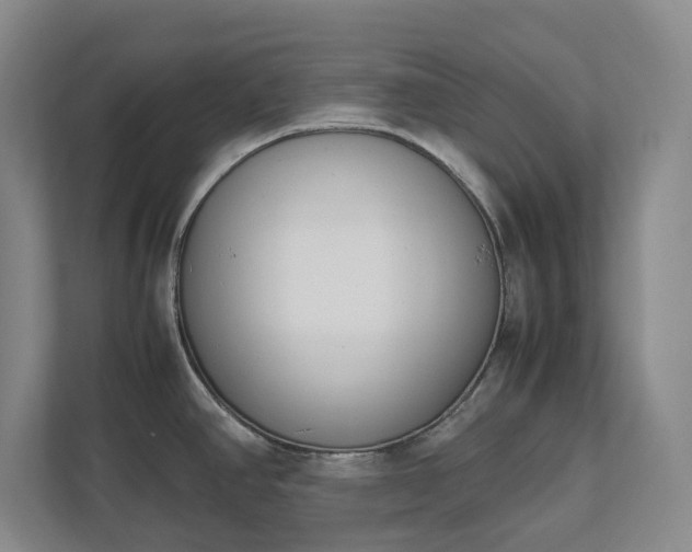 X0000111491390200907211000