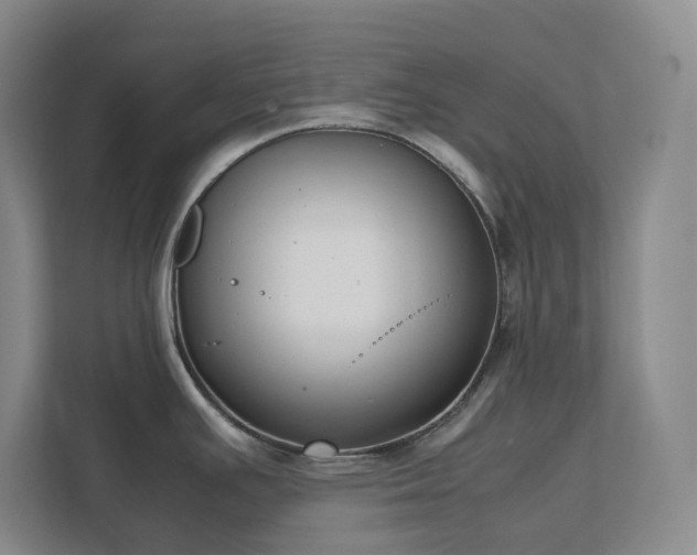 X0000111491391200907211000