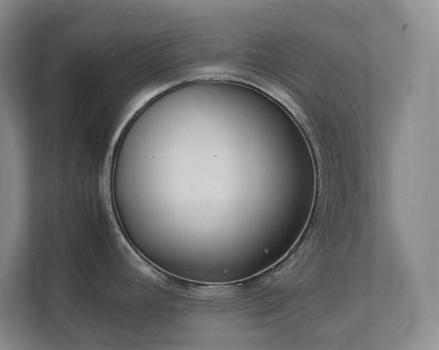 X0000111491392200907211000