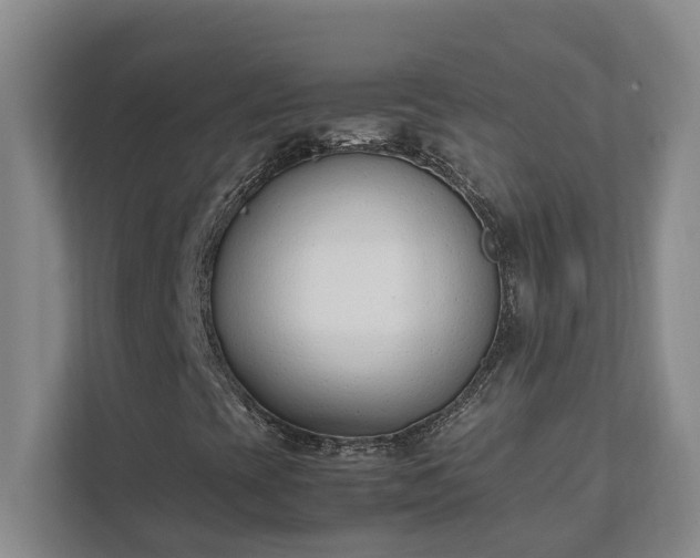 X0000111491393200907210959