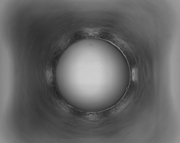 X0000111491395200907210959