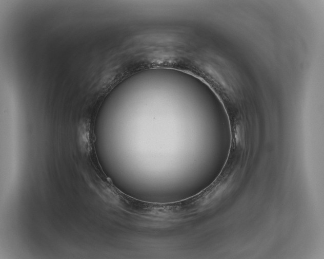 X0000111491396200907210959